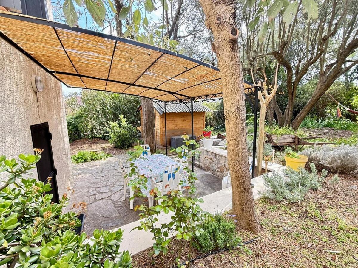 Apartment Jardin & Terrasse Ombragee - T2 Cozy Et Paisible